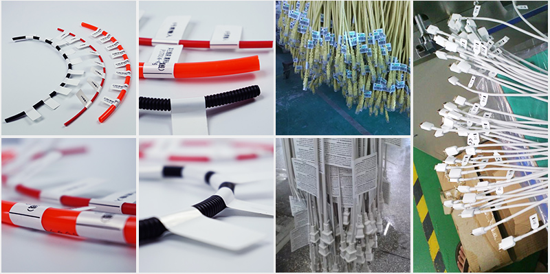 4D-308-5418.jpg 4D-308-5418.jpg